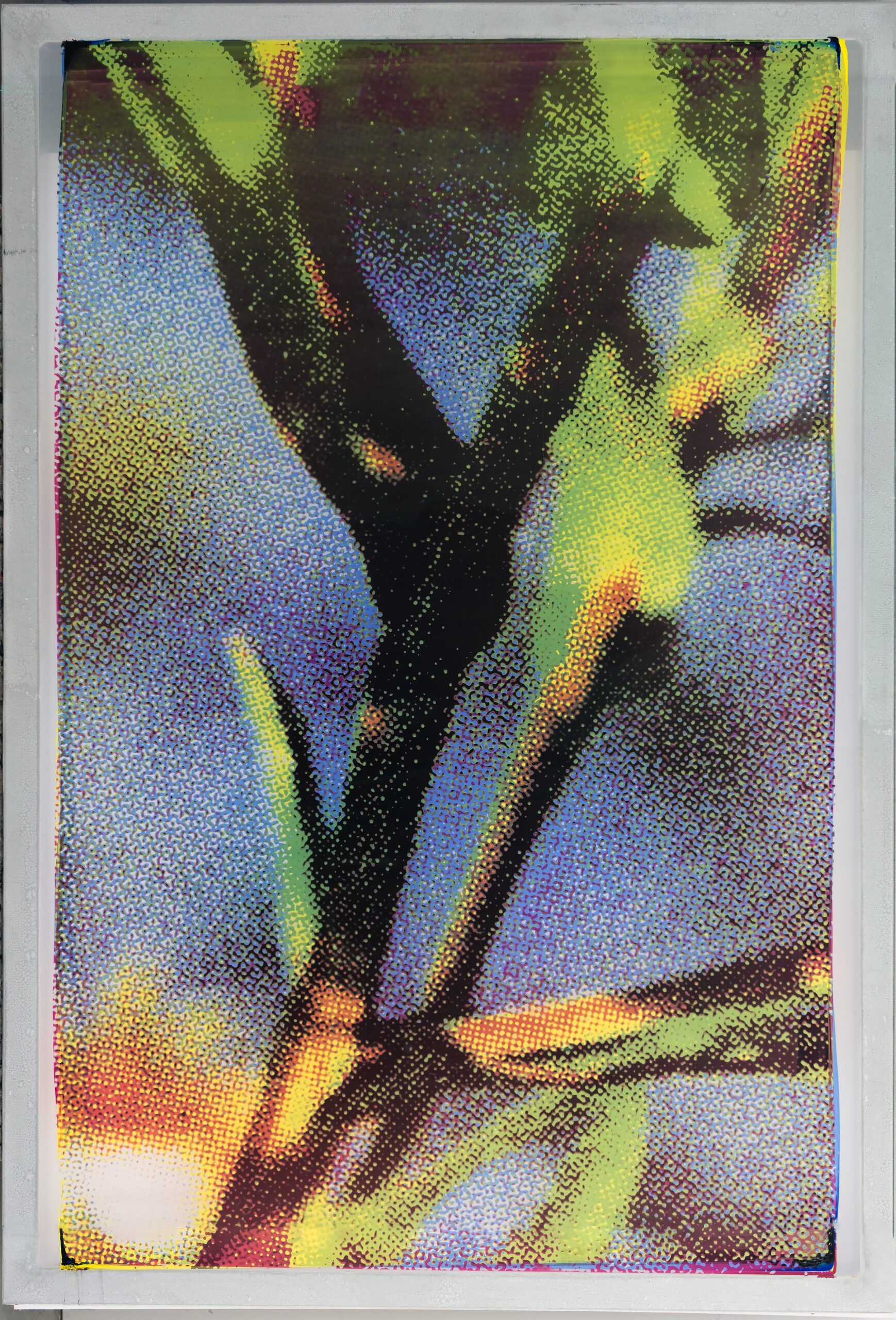 Jaya Pelupessy - Pictorial Fields, No. 25, 2025 Four color exposure on silkscreen
Aluminum silkscreen, museum glass, wood
189 x 118 x 6 cm  |  Total size
Unique