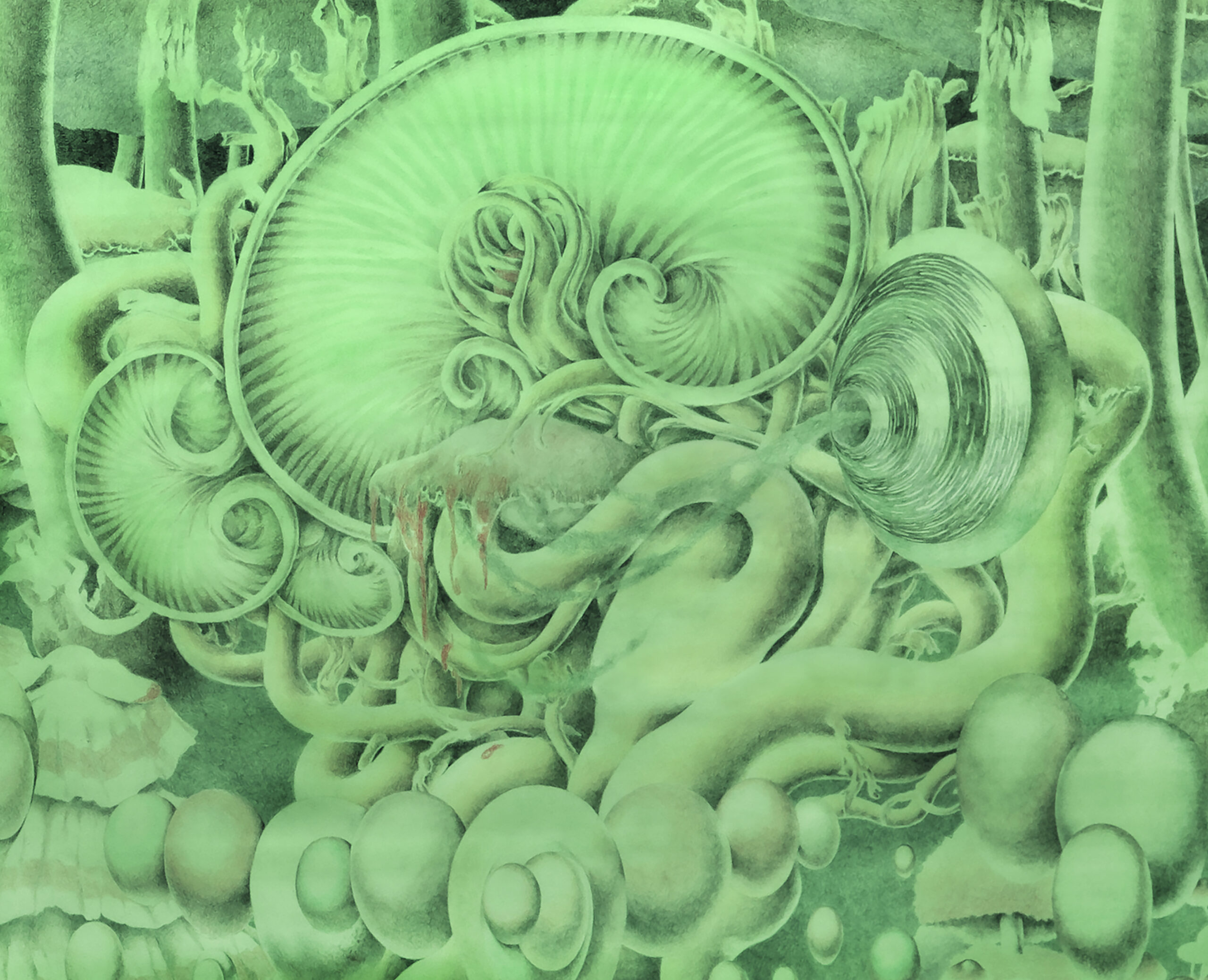 Fiona Lutjenhuis, Buried, Born and Buried, 2025, installation, coloured pencil, graphite and casein on cotton paper, framed, wood and acrylic paint. Photography Gert-Jan van Rooij