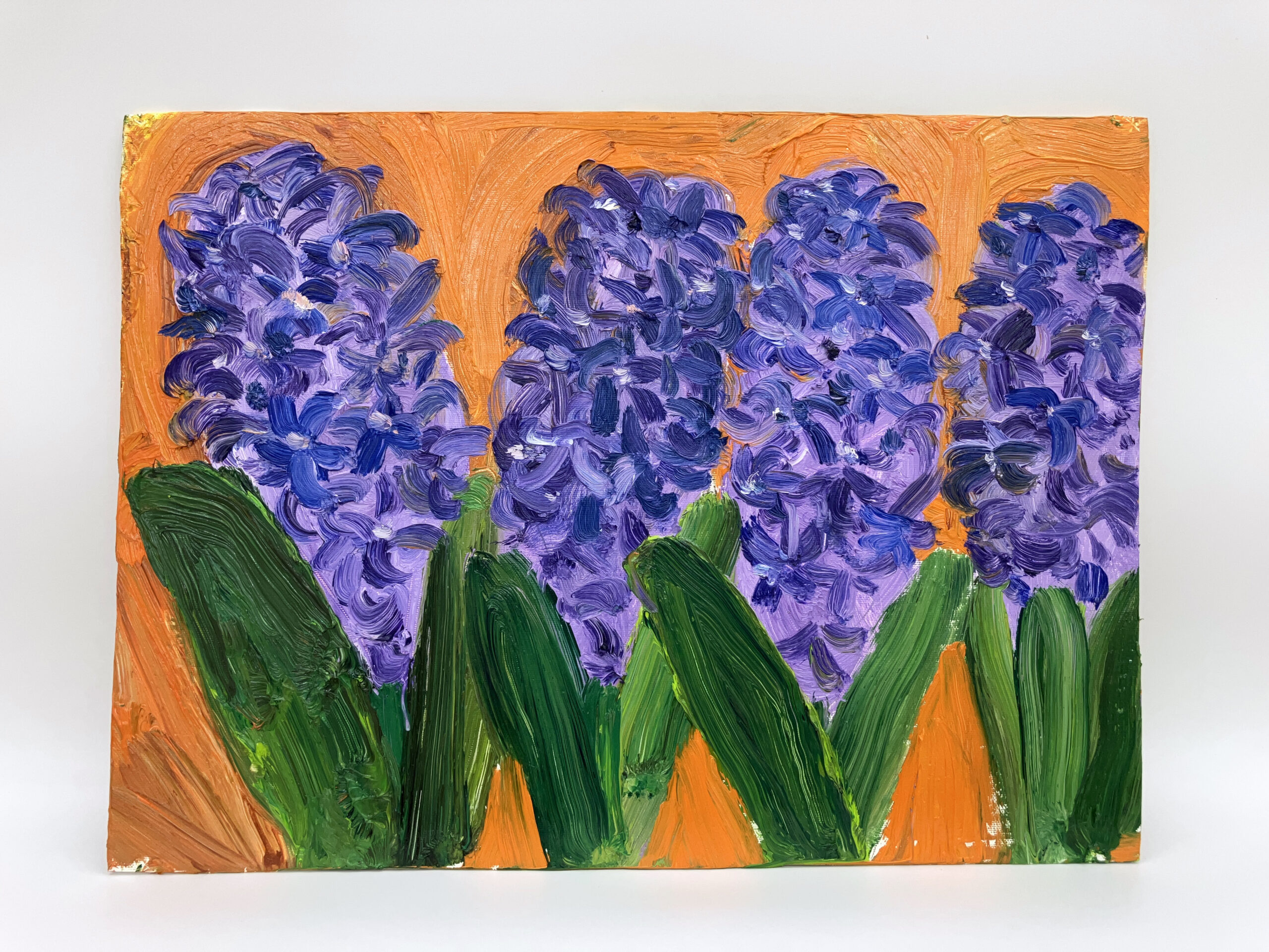 Takeshi Matsugami - Hyacinth