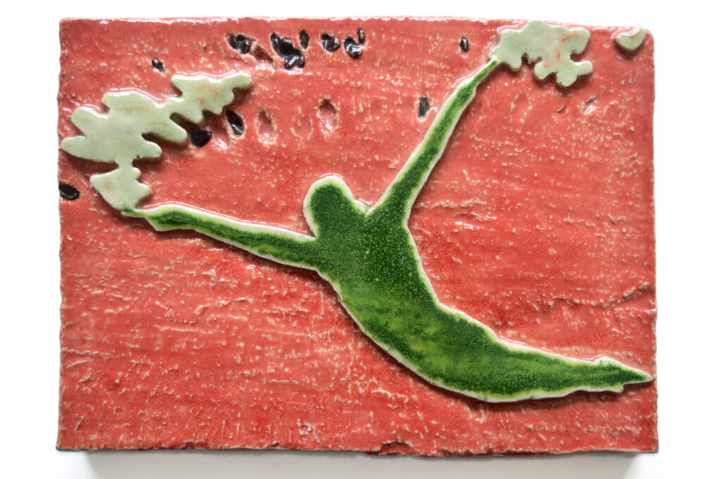 Klifduiker / Cliff diver