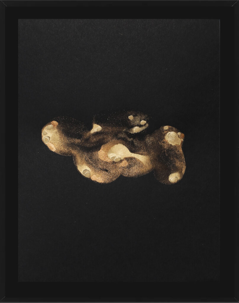 Nodule III (From the series “In The Order Of The Stones”)