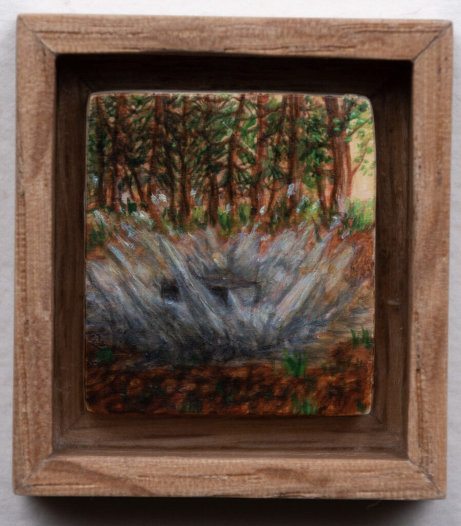 Un pavé dans la mare